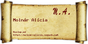 Molnár Alícia névjegykártya